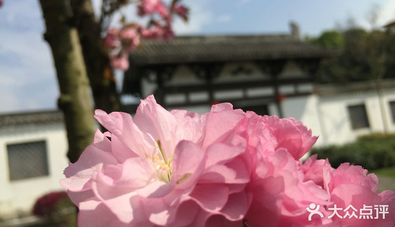 我见到了久违的阳光，是那么的灿烂，使人感到无限的暖意