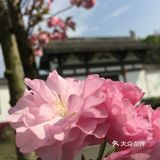 我见到了久违的阳光，是那么的灿烂，使人感到无限的暖意