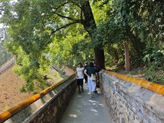 -潭柘寺景区