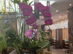 -德米火锅(深圳湾1号旗舰店)