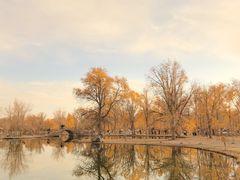 -金塔沙漠胡杨林景区