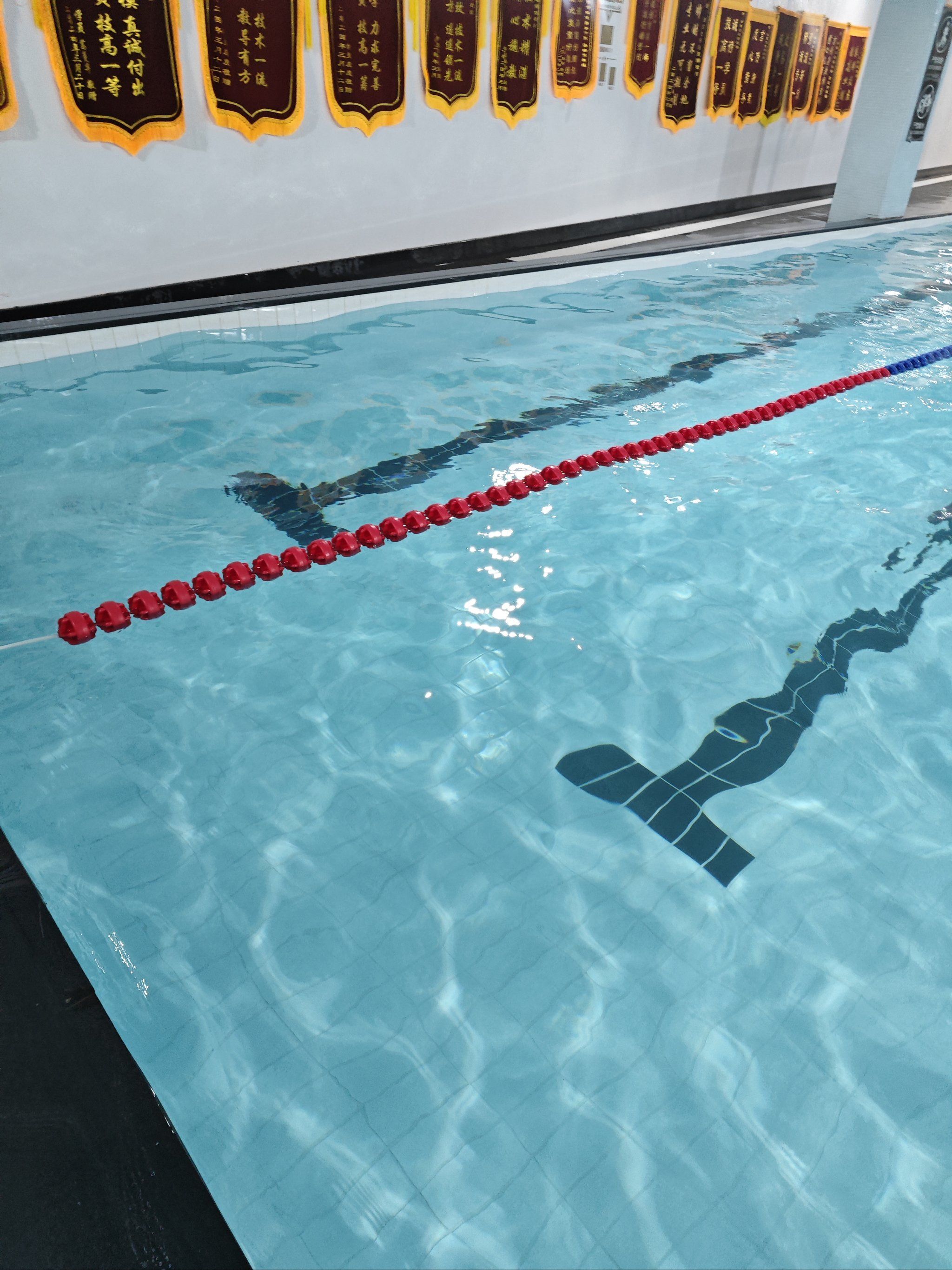 泳池训练轻松记