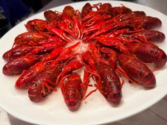 -红盔甲·小龙虾(天钥桥店)
