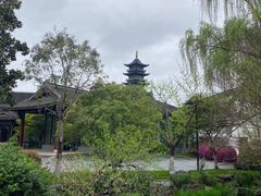 -乌镇西栅景区