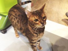 -小时光咖啡馆(开森度假森林店)