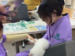 -瑞派宠物医院·24h·骨外科·皮肤科·全科宠物医疗转诊中心(沈阳浑南院)