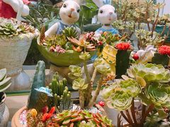 -双季花艺园艺市场(浦东店)