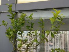 -金摩尔健身游泳(万象城鼎丰大厦店)