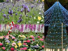 -龙环葡韵住宅式博物馆