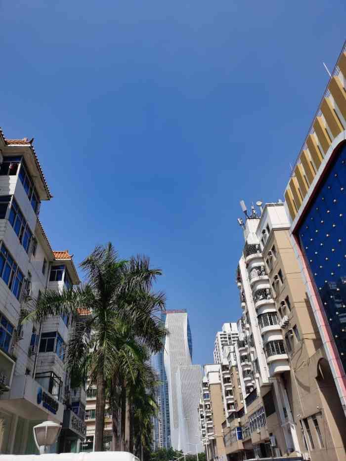 粤海大厦-中座-"粤海大厦位于南山南海大道和创业路十字东南..."-大众