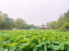 -莲池书院博物馆