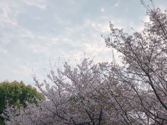 -堤角公园