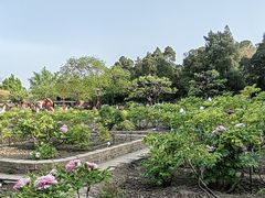 -国家植物园南园