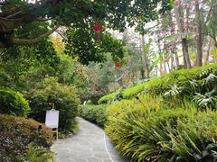 -腾冲洞山温泉村