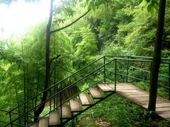 android_upload_pic-藏龙百瀑风景区