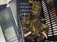 -琼大师东方烤乳猪(亚特兰蒂斯店)