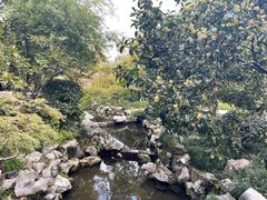-杭州西子湖四季酒店-WL BISTRO西湖餐厅(灵隐路店)