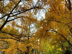 -四川大学(华西校区)