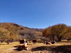-塞罕坝国家级自然保护区