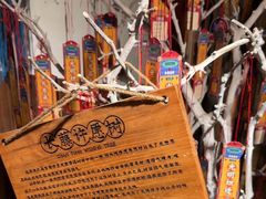 -长藤鬼校(龙翔店)