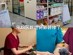-美联众合爱康动物医院•复杂内科•肿瘤科•牙科•腔镜诊疗中心