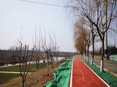 -洨河生态公园