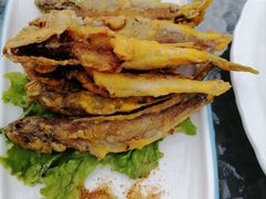 -西域美食兰州老马拉面(顺沙路辅路店)