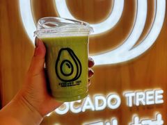 -油梨树AVOCADO TREE(嘉里中心店)