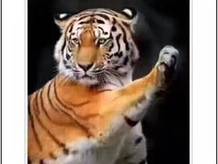 -乡党臊子面(丰庆公园店)