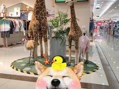 -翠微百货(龙德店)