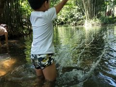 -大屏嶂森林公园