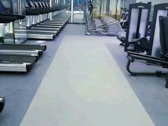 -金吉鸟健身游泳