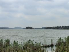 -长广溪湿地公园