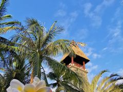 -海南清水湾莱佛士酒店