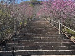 -天台山赤城山景区