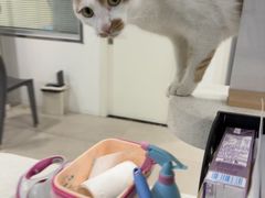 -佳雯宠物医院·皮肤科·内外科(春晓路分院)