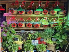 -烹湘·鲜炒湖南土菜(海珠店)