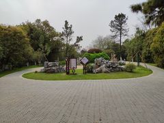 景点-菊花台公园