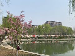 -中华世纪坛-停车场