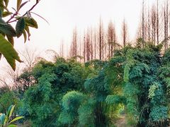 -贵阳市花溪国家城市湿地公园
