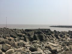 -南汇嘴观海公园