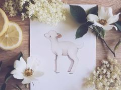 -八哥美术·成人美术画室(总校区)