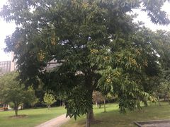 -江南大学(蠡湖校区)