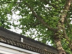 -江宁织造博物馆