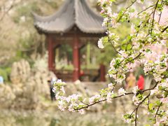 -莫愁湖公园