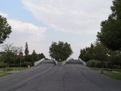 -贡湖湾湿地公园