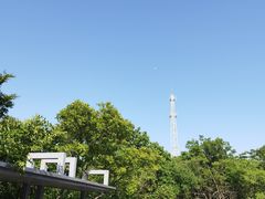 -紫金山山顶公园