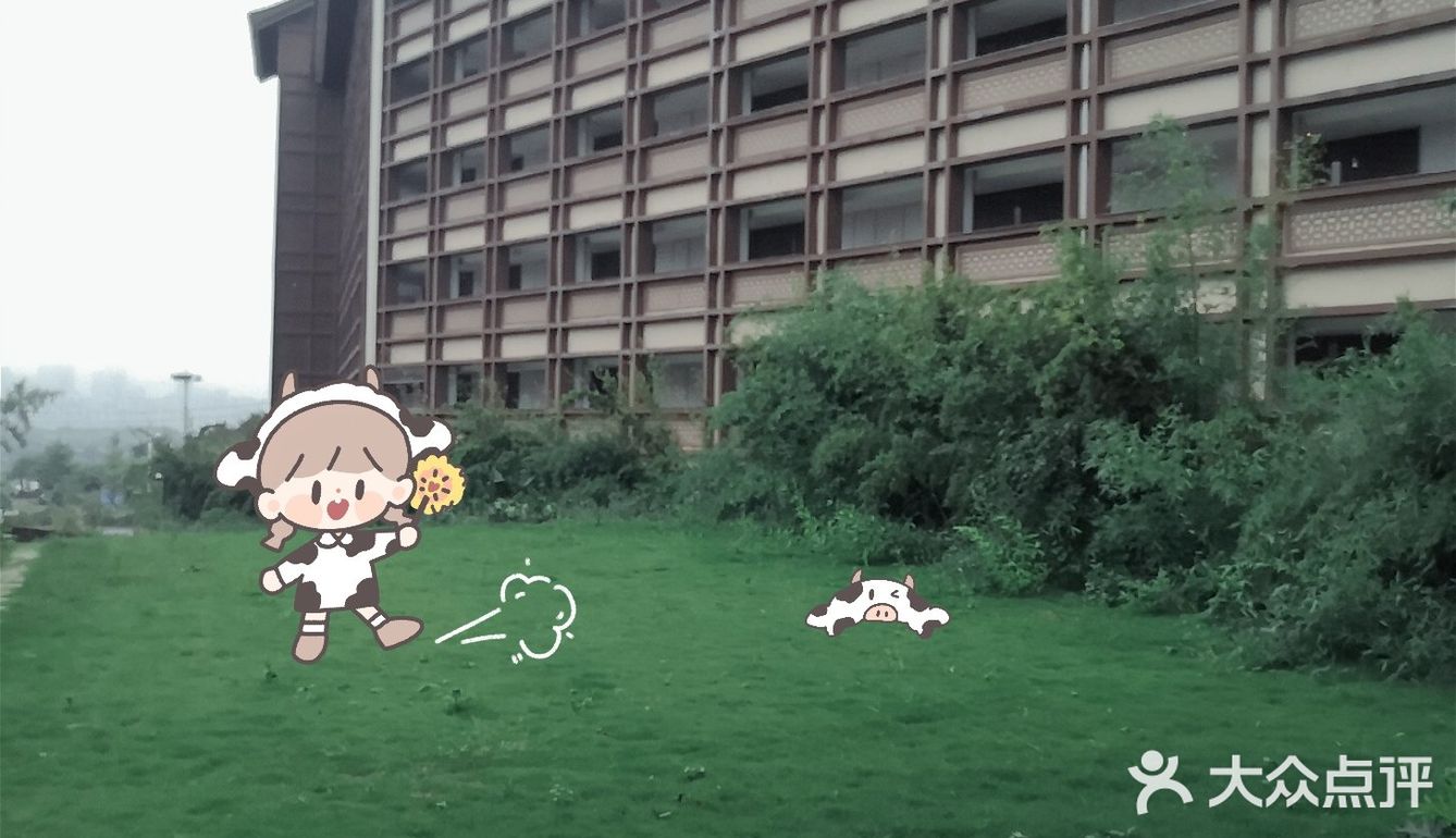 牛油果绿小众婚礼堂