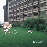 牛油果绿小众婚礼堂