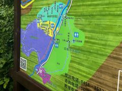 -汤旺河林海奇石景区